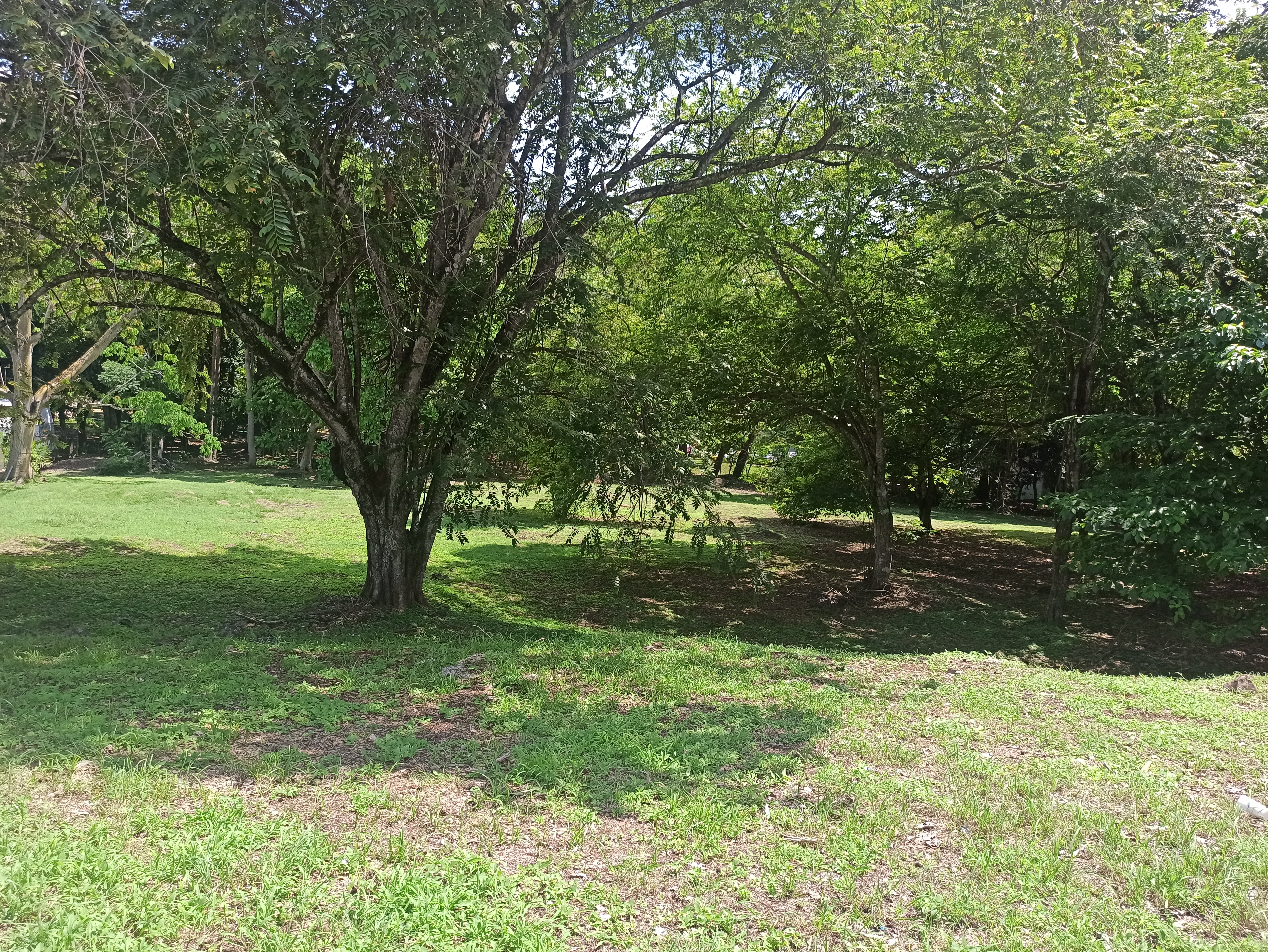 Site photo from Betania uploaded by participants